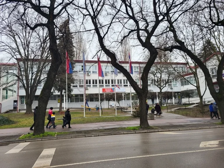 Epidemiološka situacija sa sezonskim gripom trenutno mirnija, novi talas očekuje se u februaru