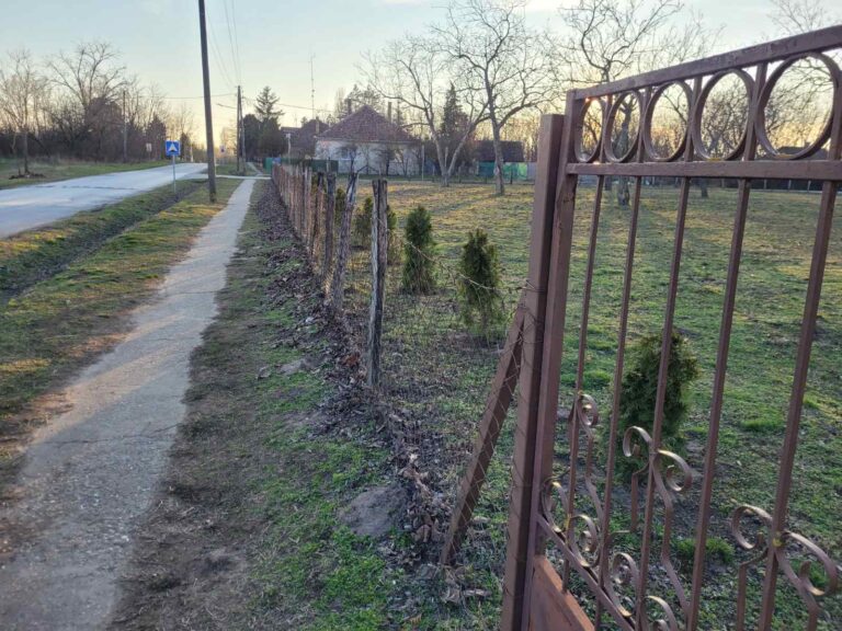 Ozelenjavanje školskog dvorišta u OŠ „Matija Gubec” u Ljutovu