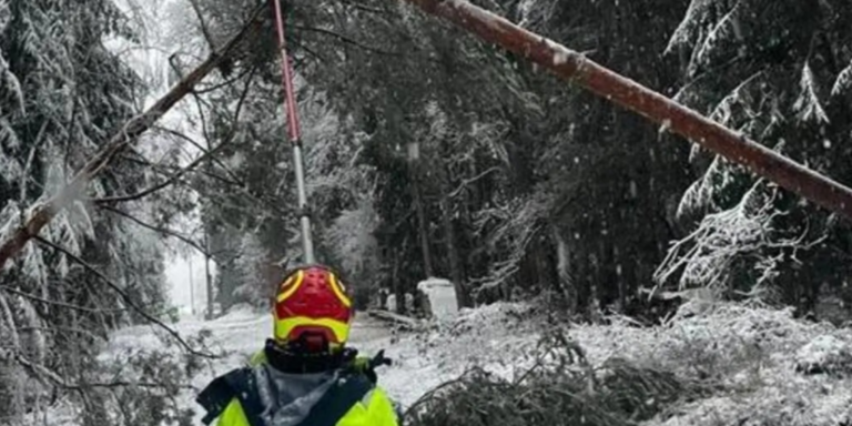 Snežni talas parališe Austriju: Desetine hiljada domaćinstava bez struje