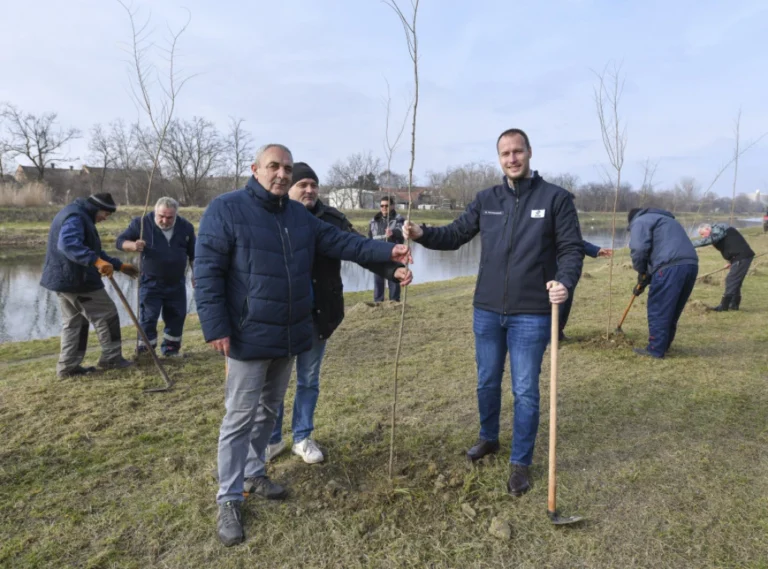 Vode Vojvodine sade 200.000 sadnica širom pokrajine, počelo pošumljavanje u Crvenki
