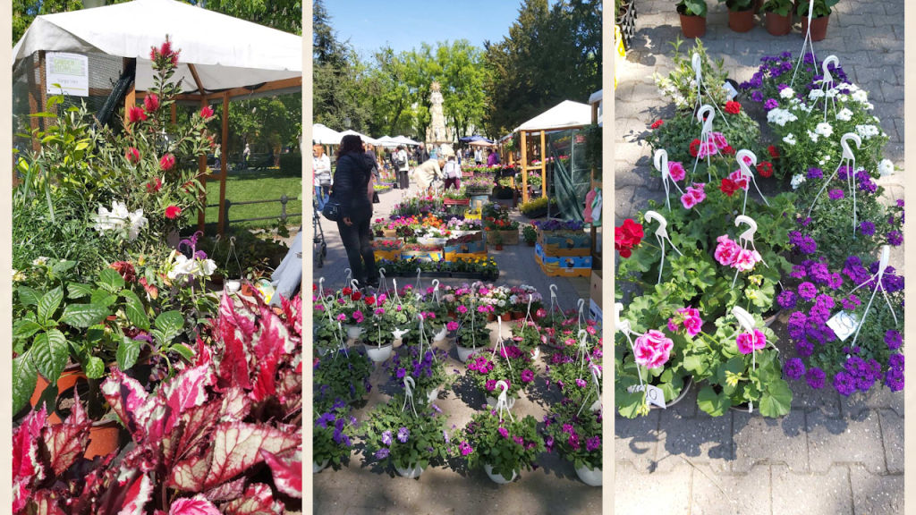Otvorena „Garden flora” u centru Subotice