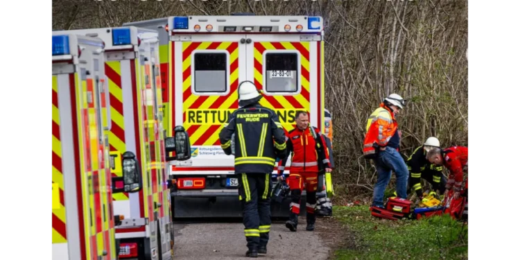 Tragedija u Nemačkoj: Drvo palo i usmrtilo majku, bebu i devojčicu