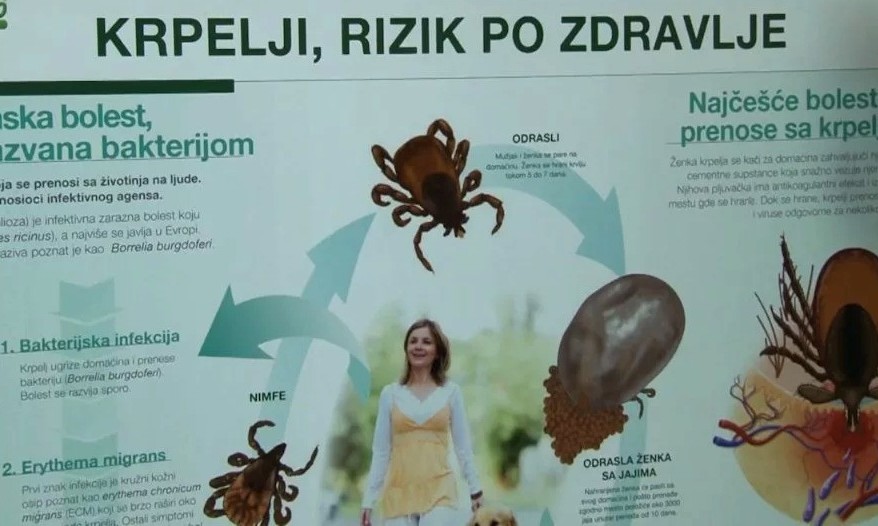 Toplije vreme pogoduje krpeljima, neophodan oprez