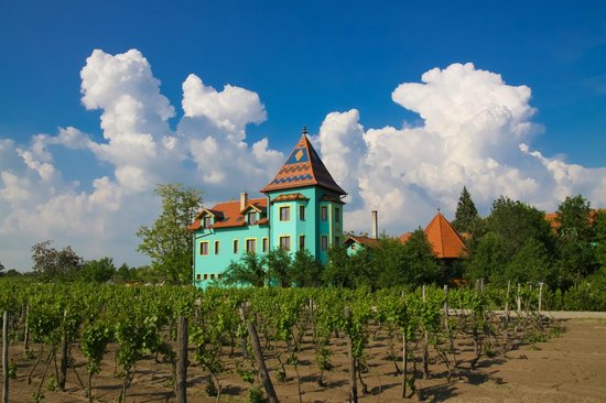Subotica i Palić nastavljaju snažan rast turističkog prometa